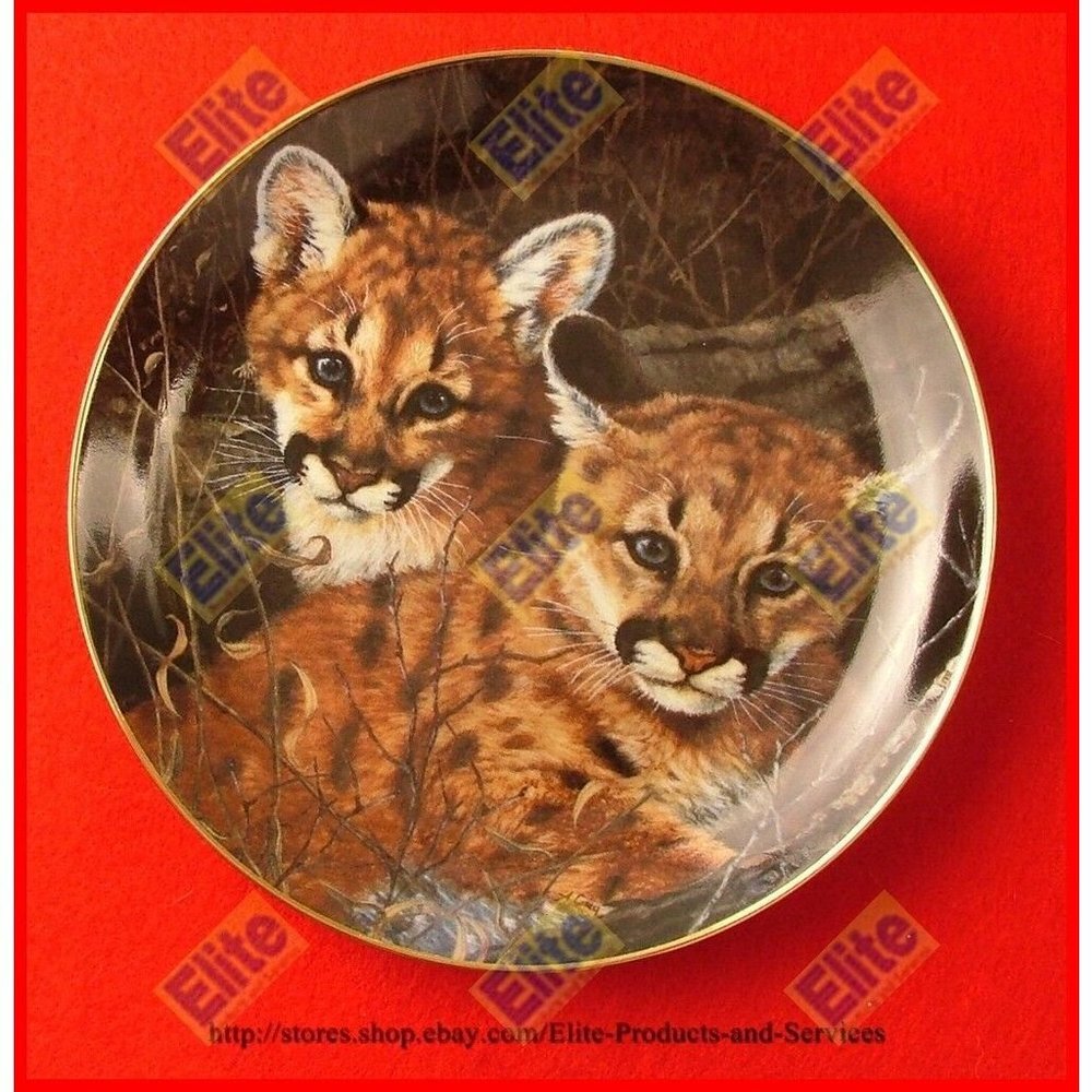 Be My Baby‎ Collectors Plate "Baby Blues" - MIB